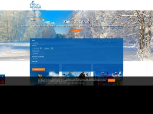 Czy warto organizować wyjazdy narciarskie?